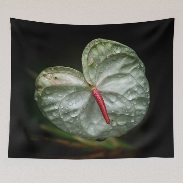 Item preview, Attention Seeker designed and sold by Dead-Moroz.