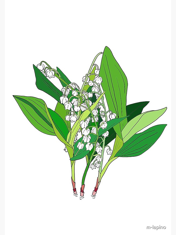 Lilly of the Valley" Journal for Sale by m-lapino | Redbubble Lilly of the Valley" Journal for Sale by m-lapino | Redbubble