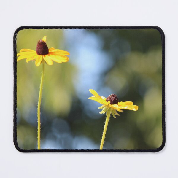 Item preview, Black Eyed Susan close up in front of blurred background designed and sold by AlishaWatson.