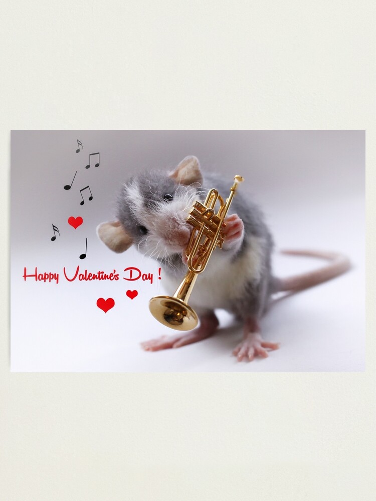 Alternate view of Happy Valentine's Day! Photographic Print
