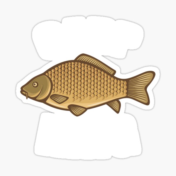Wild Common Carp Fish Fishing  #36670 bw 2 x Vinyl Stickers 10cm 