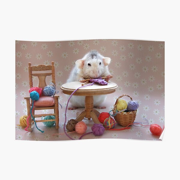Rosie's first knitting lesson! Poster