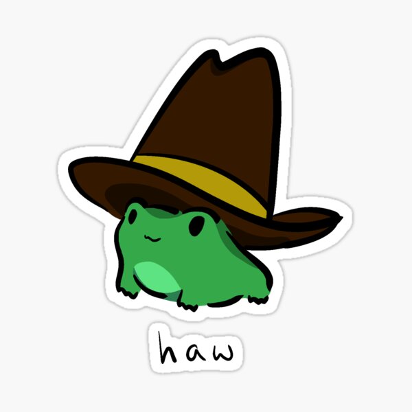 Kawaii Frog Cowboy Cowgirl Western Friend Blind Box Bag Enamel Pin