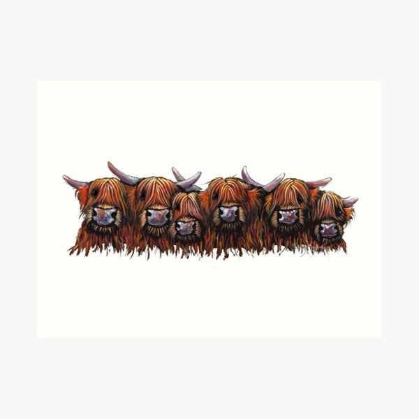 Scottish Hairy Highland Cows ' ALL IN A ROW ' by Shirley MacArthur Art Print