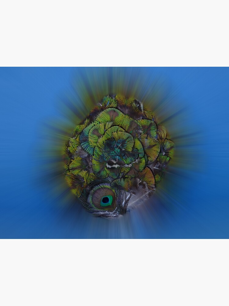 "Zoomed Peacock Feather Art" Sticker for Sale by TinaWakefield Redbubble