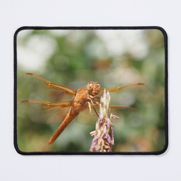 Item preview, Happy Dragon Fly; La Mirada, CA USA  designed and sold by leih2008.