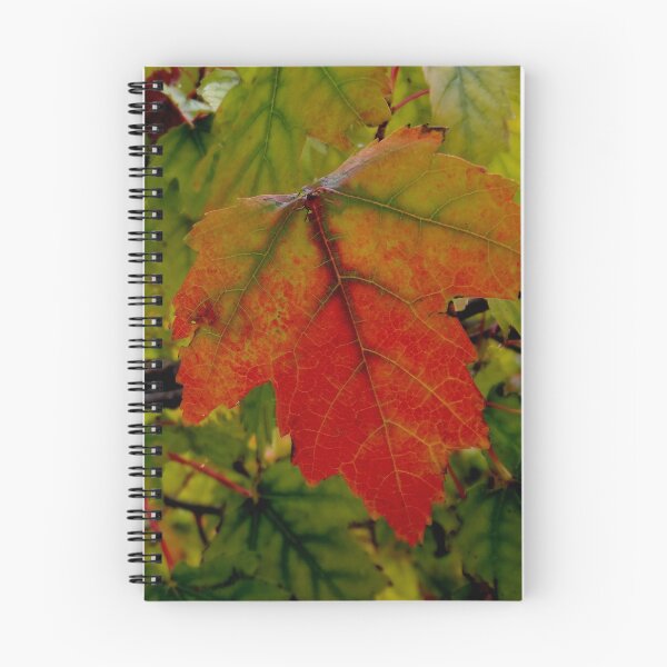 Item preview, Hello, Autumn designed and sold by Rosemary Sobiera.