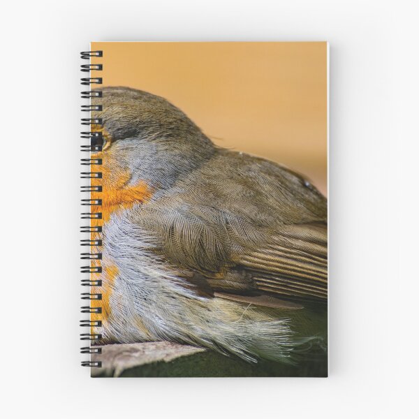 Item preview, Robin Red Breast designed and sold by Robert Gipson.