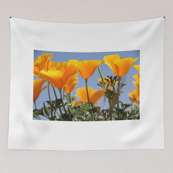 Item preview, California Poppies in Arizona designed and sold by dazlm.