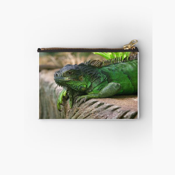 Item preview, Iguana Life is Good designed and sold by dazlm.