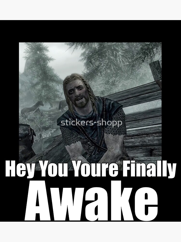 Youre Finally Awake Skyrim Meme Poster For Sale By Stickers Shopp