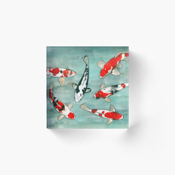 Le ballet des carpes koi Acrylic Block