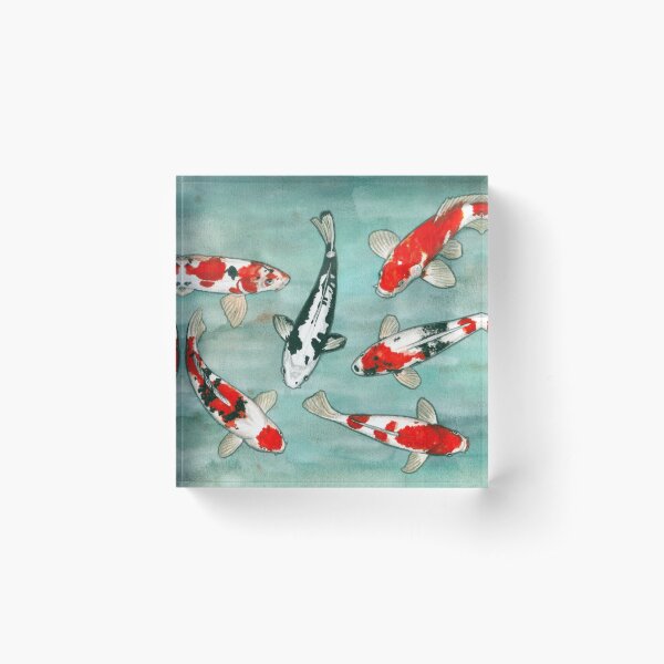 Le ballet des carpes koi Acrylic Block
