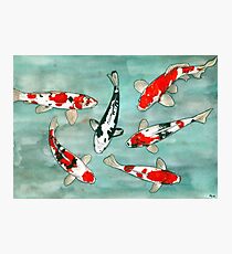 Lámina fotográfica Le ballet des carpes koi