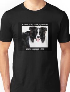 border collie in pocket t shirt