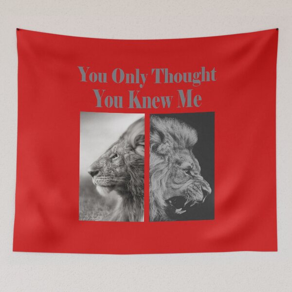 Item preview, You Only Thought You Knew Me - Personality designed and sold by Drewaw.