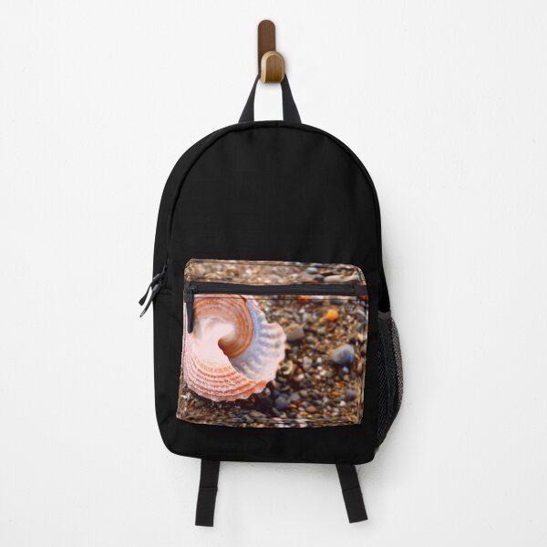 Item preview, Pretty Seashell on the Stony Beach at the Rocky Shore Coast designed and sold by CreateShape.