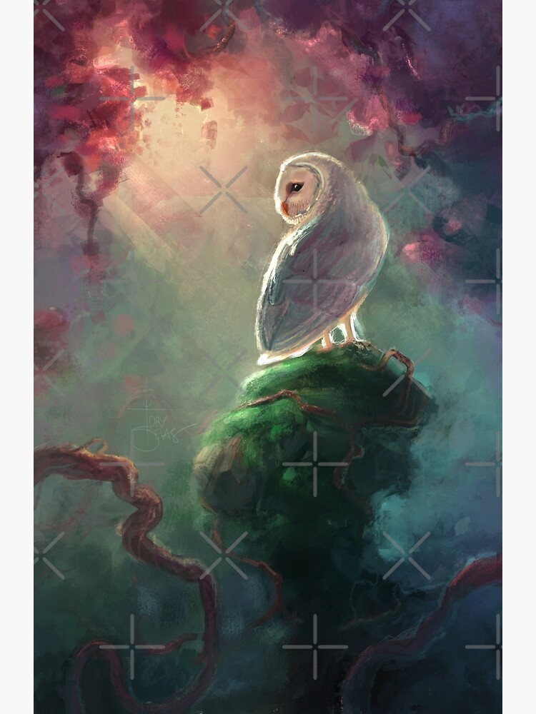 Barn Owl by torysevas
