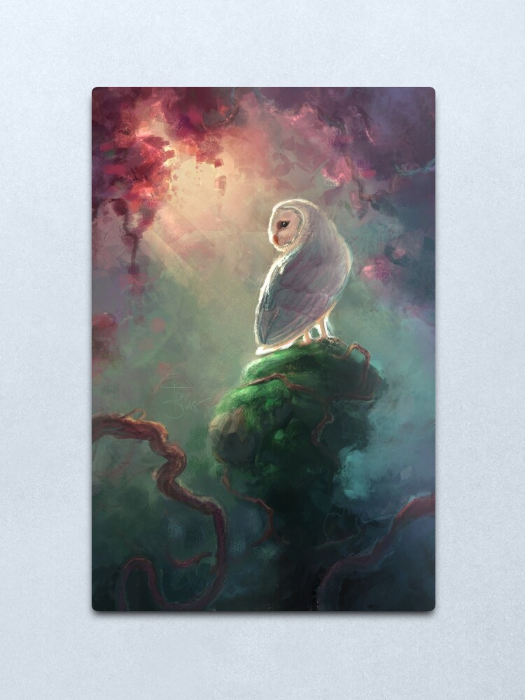 Alternate view of Barn Owl Metal Print