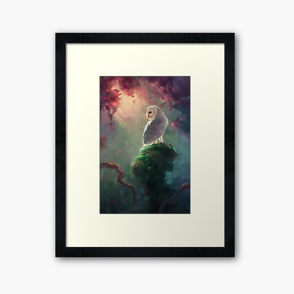 Barn Owl Framed Art Print