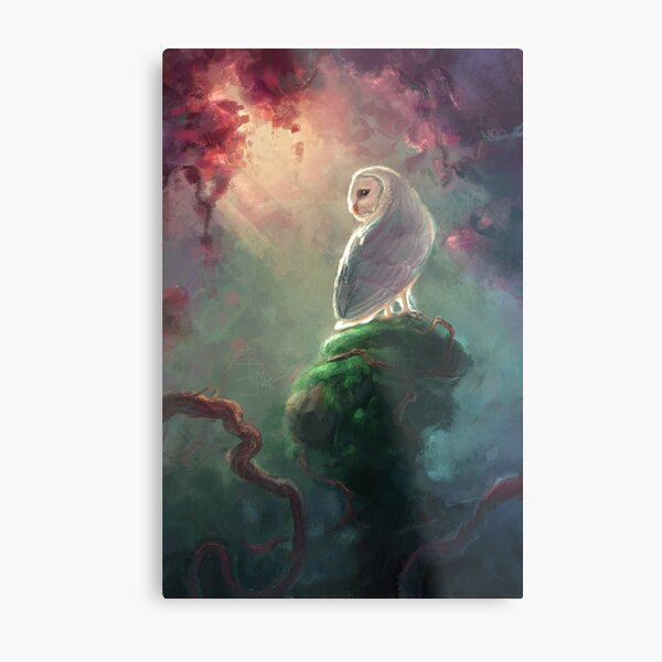 Barn Owl Metal Print