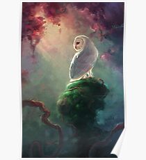 Barn Owl Poster