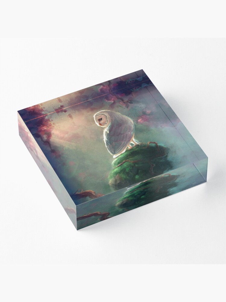 Alternate view of Barn Owl Acrylic Block