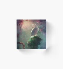 Barn Owl Acrylic Block