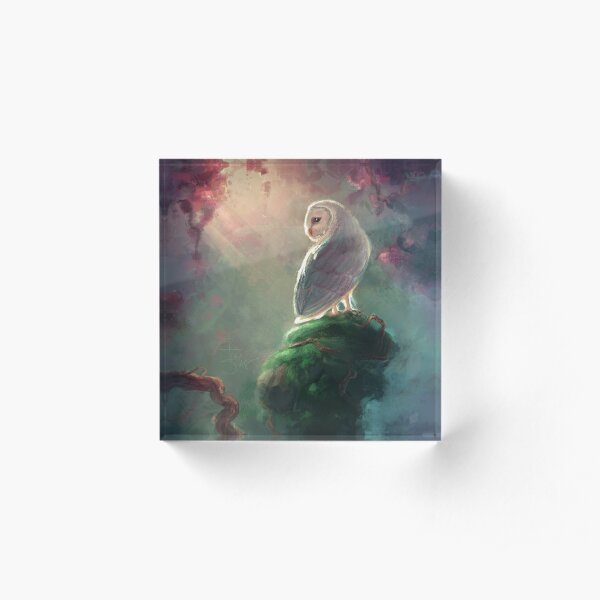 Barn Owl Acrylic Block