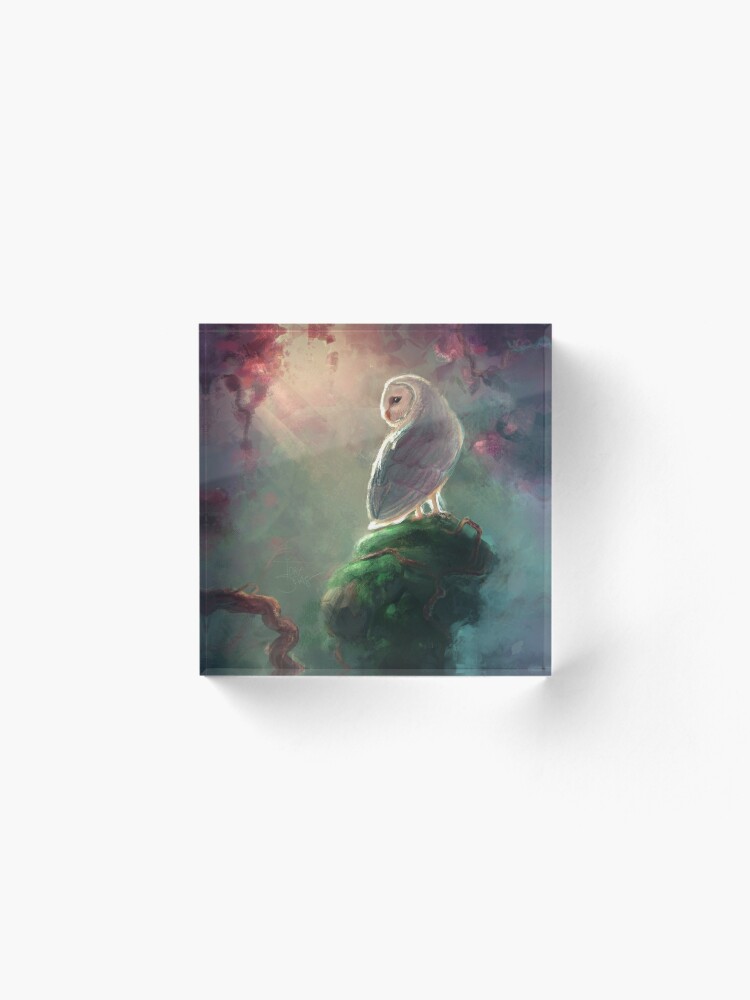 Alternate view of Barn Owl Acrylic Block