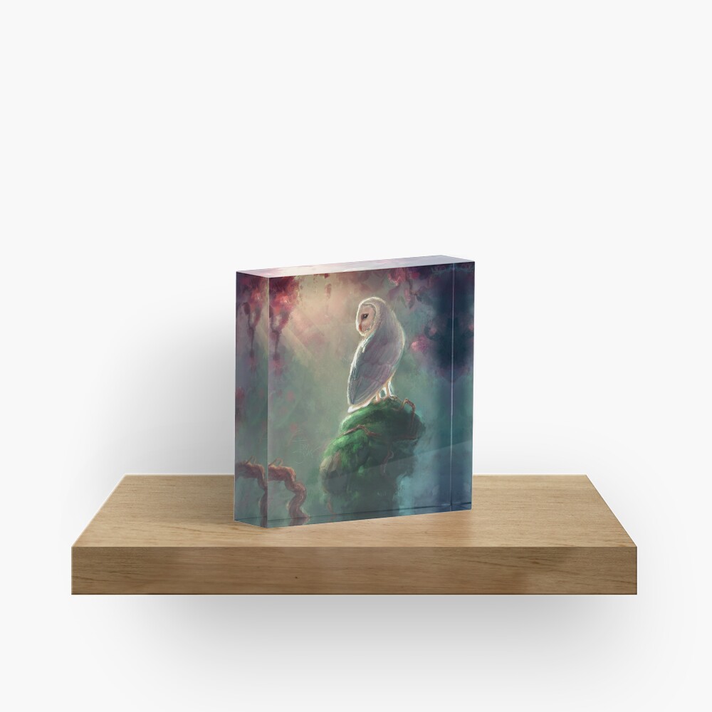 Barn Owl Acrylic Block