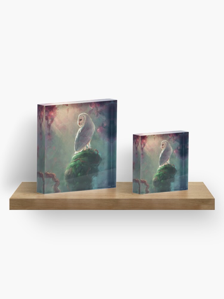 Alternate view of Barn Owl Acrylic Block