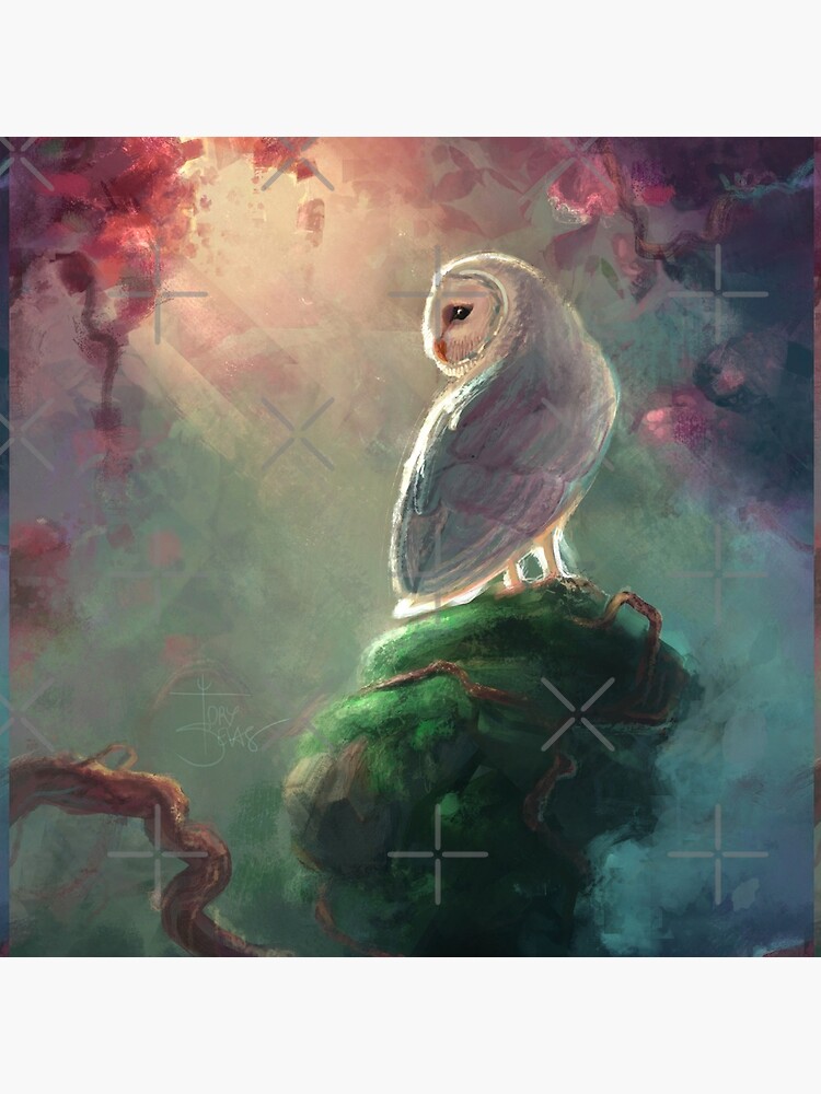 Barn Owl by torysevas