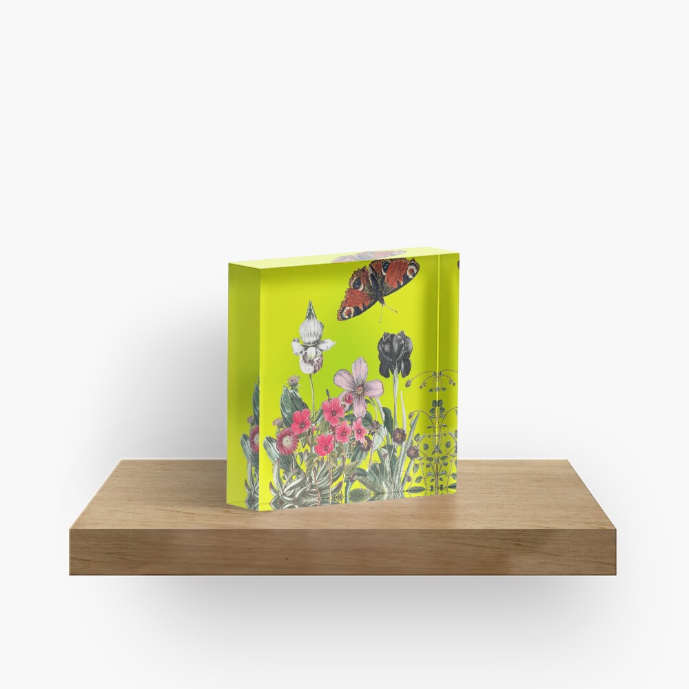 Be still and wonder Acrylic Block