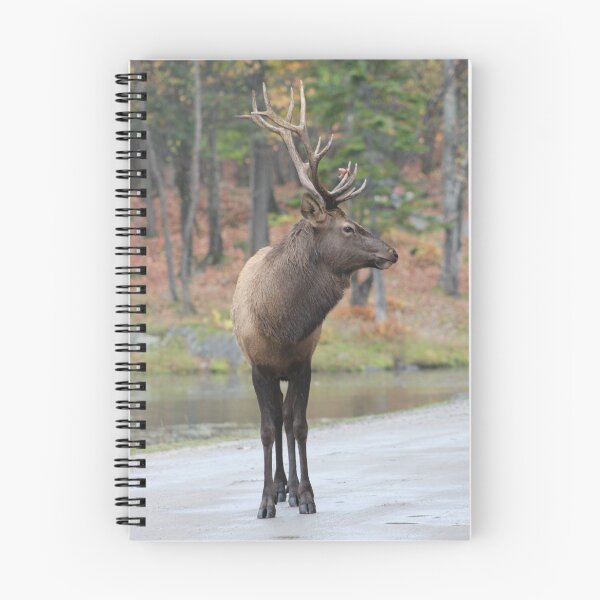 Item preview, Get My Good Side ;) designed and sold by Vicki Spindler (VHS Photography).