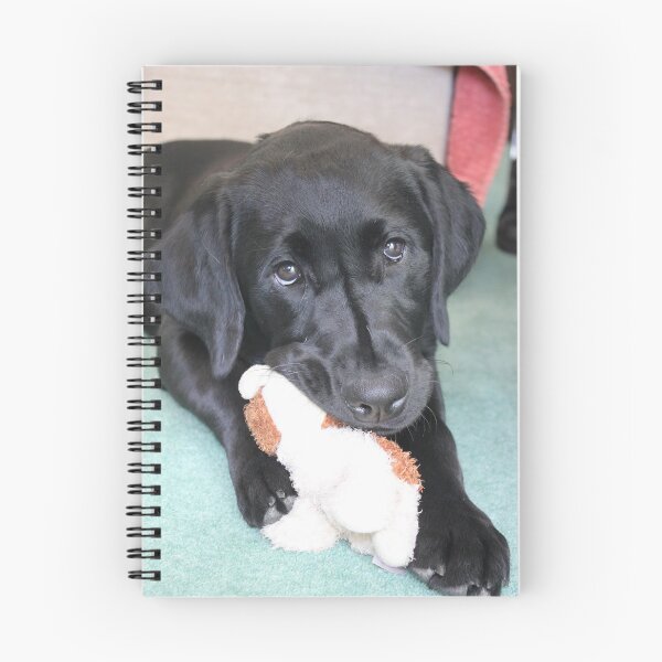 Item preview, Vicki and Her Toy designed and sold by Vicki Spindler (VHS Photography).