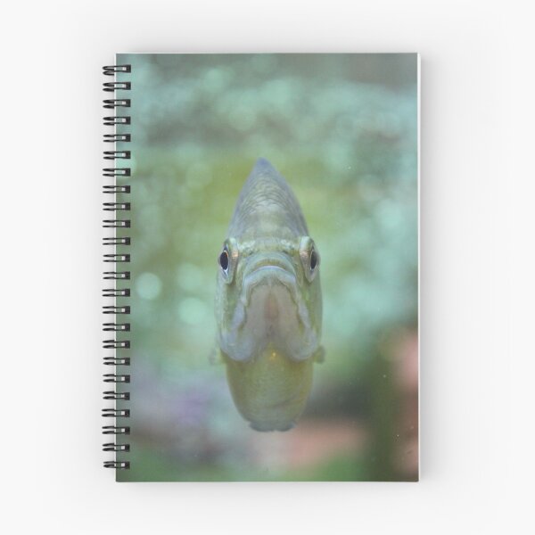 Item preview, Happy Fish designed and sold by Vicki Spindler (VHS Photography).