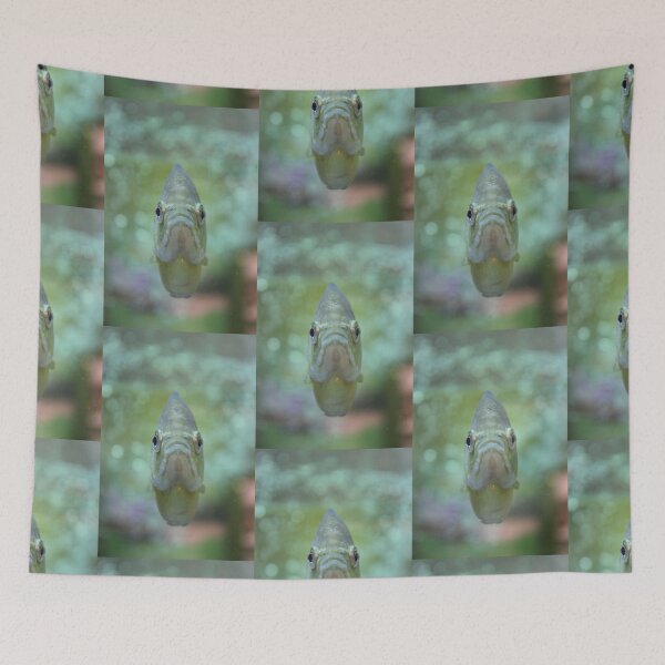 Item preview, Happy Fish designed and sold by Vicki Spindler (VHS Photography).