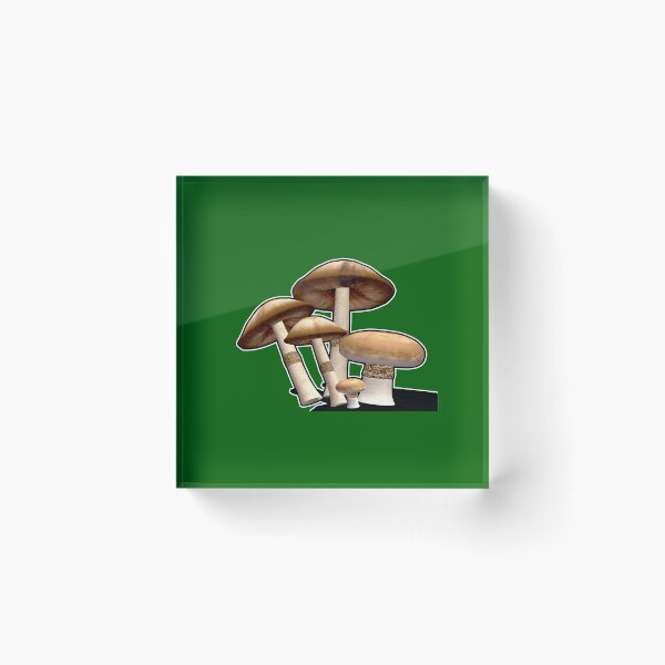Item preview, protect nature for future generations, save planet keep it green designed and sold by Tiziza.