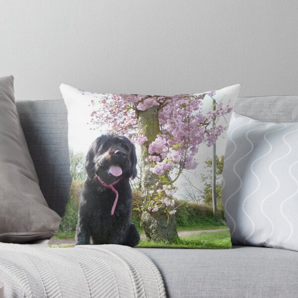 Item preview, Izzy under a blossom tree designed and sold by Vicki Spindler (VHS Photography).