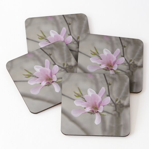 Item preview, Magnolia - Elegant Single Blossom designed and sold by Georgia Mizuleva.