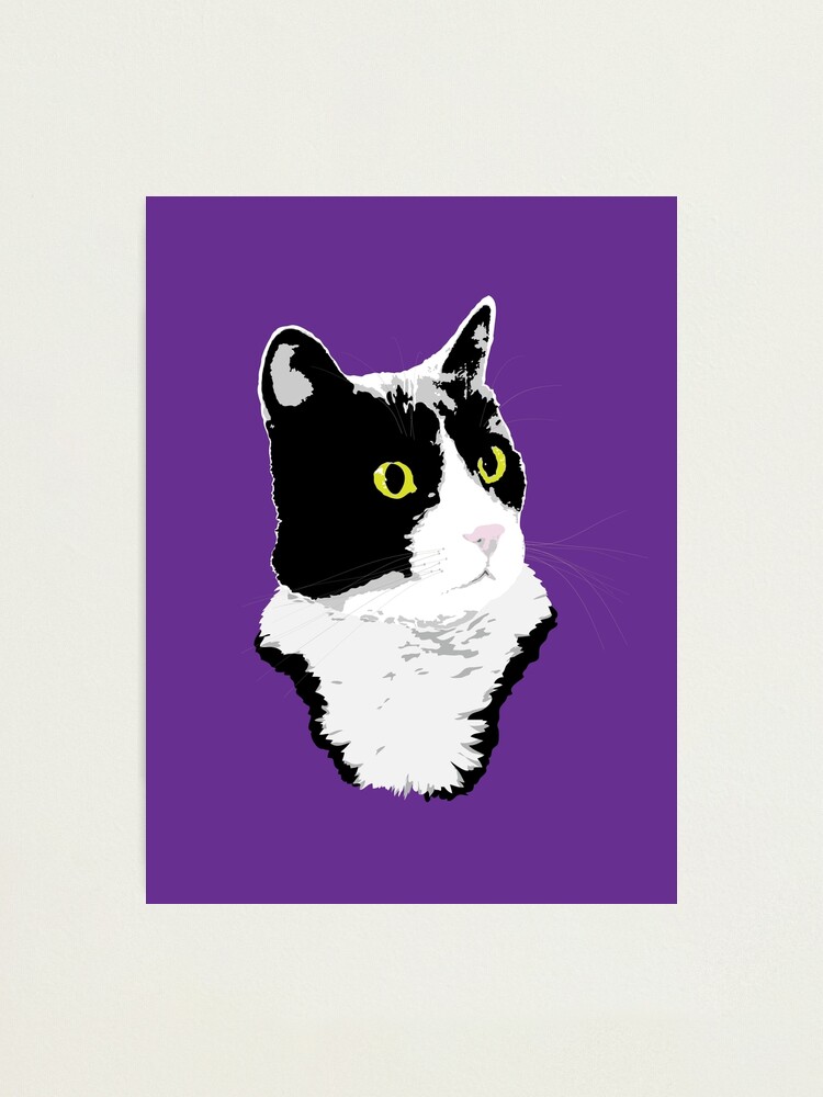 Alternate view of Regal Tuxedo Kitty Photographic Print