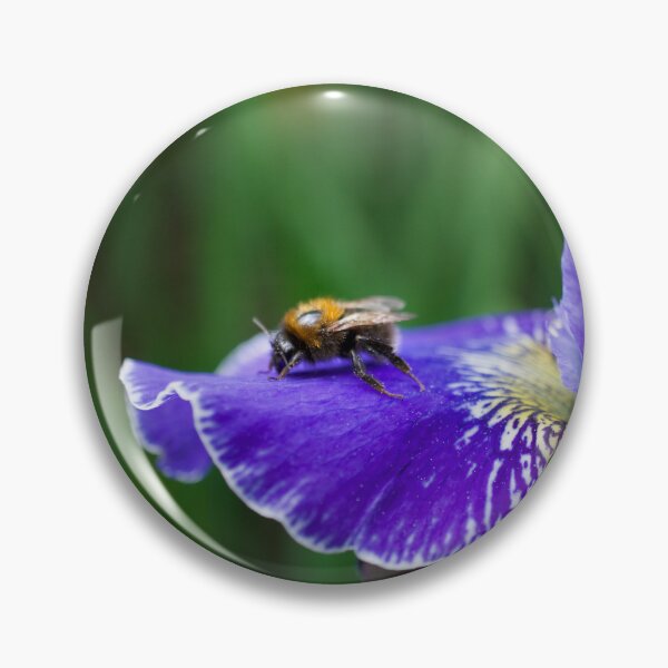 Artikelvorschau, Biene auf Iris-Blume entworfen und verkauft von Alisonchambers2.