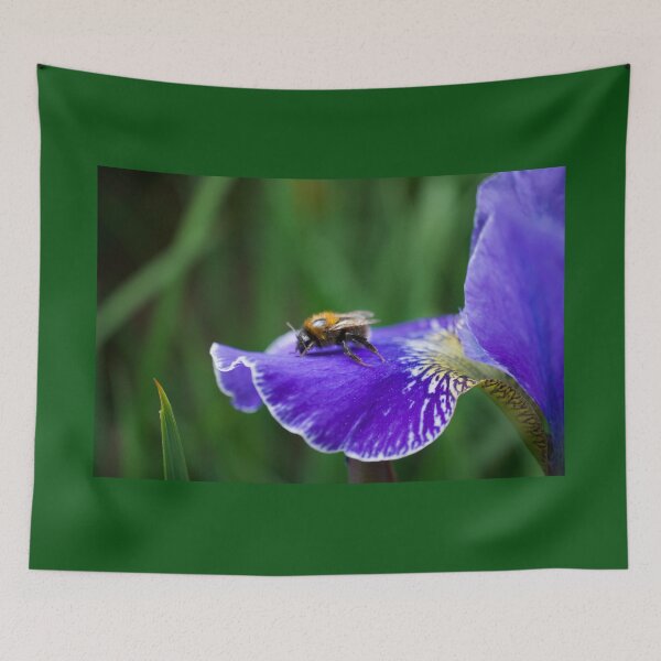 Item preview, Bee On Iris Flower designed and sold by Alisonchambers2.