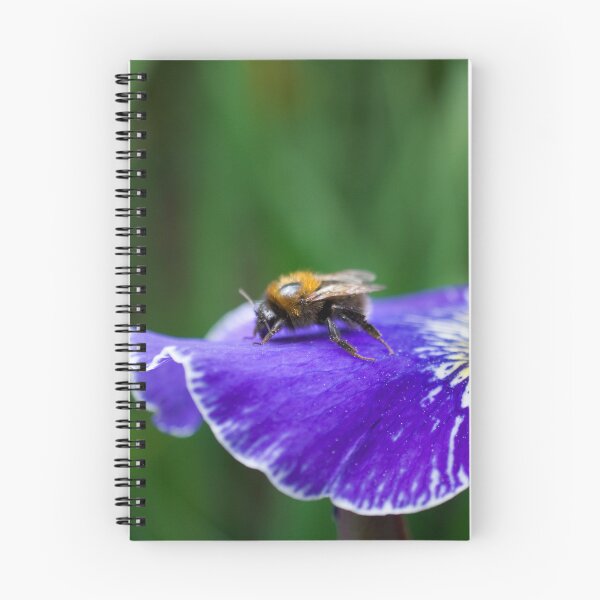 Item preview, Bee On Iris Flower designed and sold by Alisonchambers2.