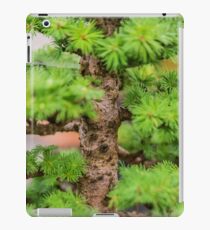 Bonzai Bark iPad Case/Skin