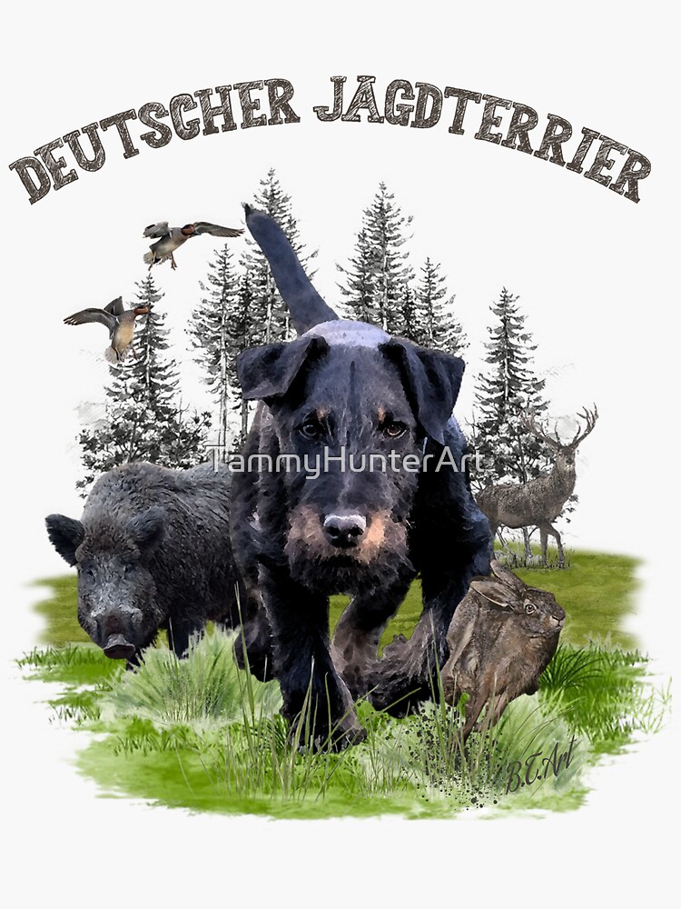 German jagdterrier 2024 for sale