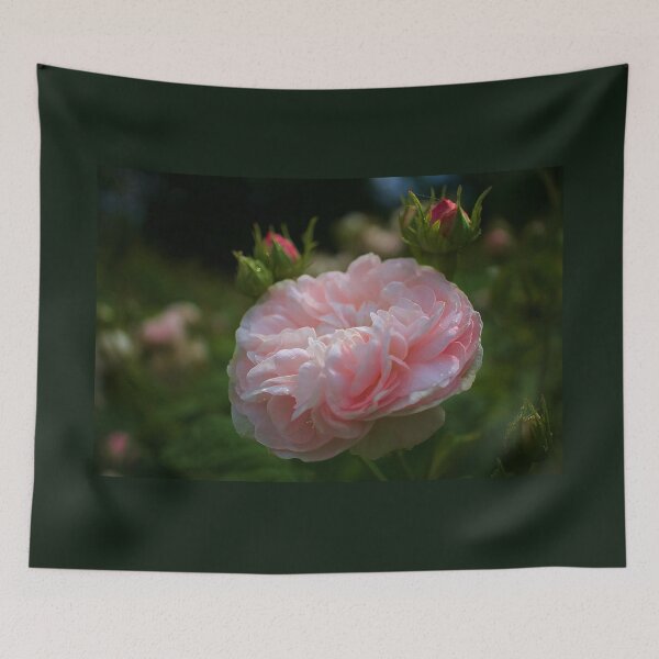 Item preview, Sunlit Rose designed and sold by Alisonchambers2.