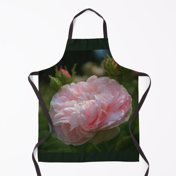 Item preview, Sunlit Rose designed and sold by Alisonchambers2.