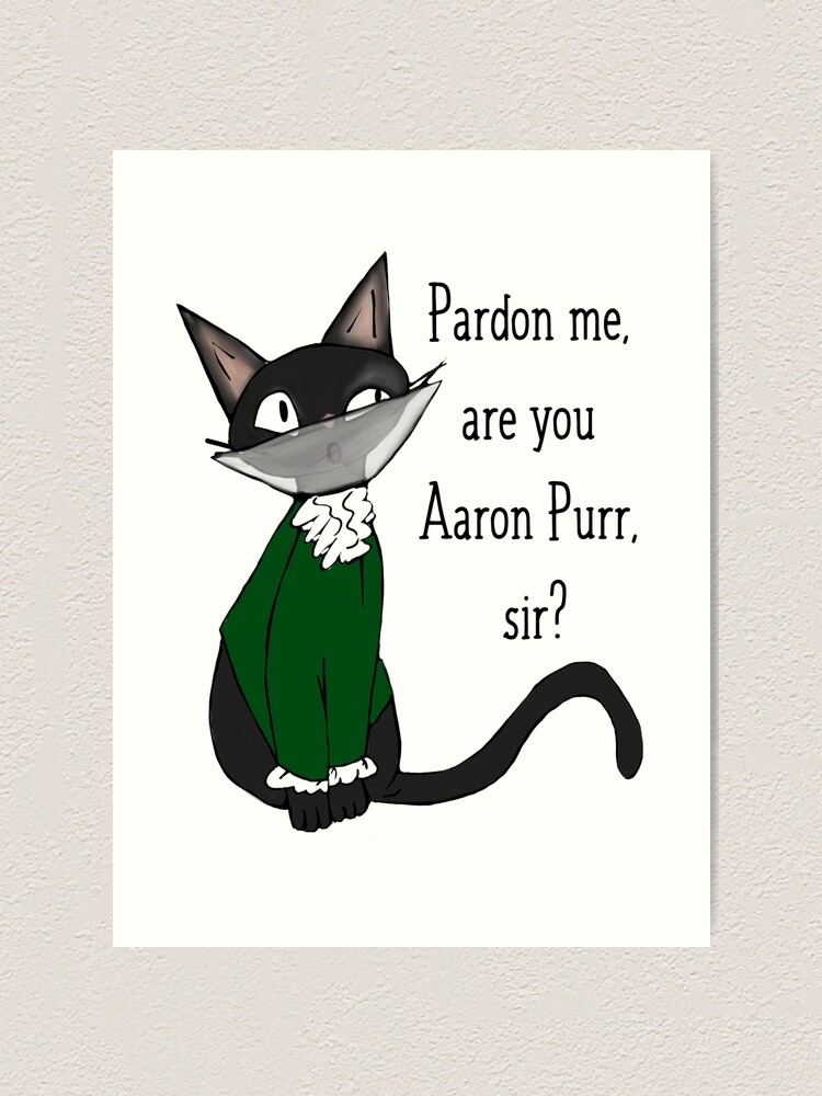 Pardon Me Are You Aaron Purr, Sir? Hamilcat Shirt, Hoodie - TeeDragons